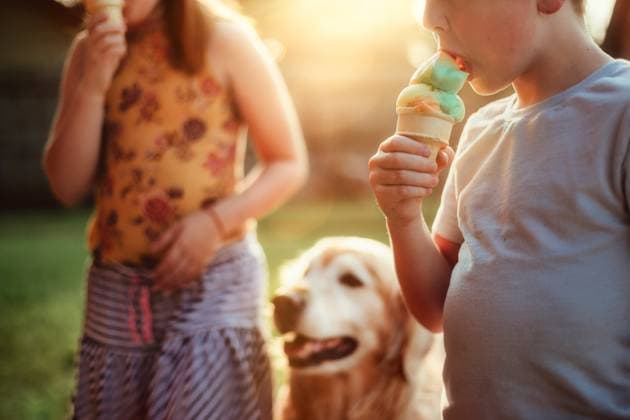 Creative Highlight Symbolbilder Two Children and a Dog eating Ice cream Cones with Golden Light Tulsa, Oklahoma, United States CR_KRRY250905-1823605-01 ,model released, Symbolfoto