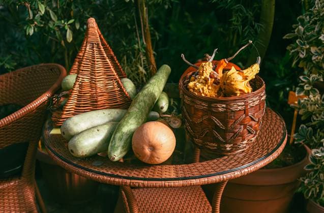 Decorative creative set of decoration with different types of pumpkin Wax gourd, momordica on a table Decorative creative set of decoration with different types of pumpkin Wax gourd, momordica on a table, 94423128.jpg RECORD DATE NOT STATED