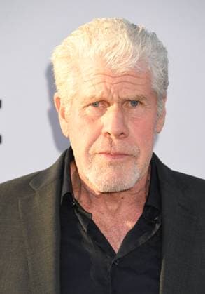 HOLLYWOOD, CALIFORNIA - SEPTEMBER 08: Ron Pearlman at the world premiere of Warner Bros. Pictures One Battle After Another at TCL Chinese Theatre on September 08, 2025 in Hollywood, California Copyright: xJeffreyxMayerx xMediaPunchx