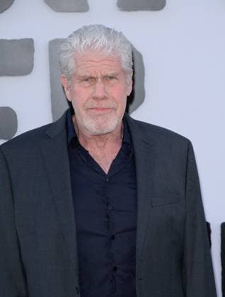 One Battle After Another Premiere - Los Angeles, USA LOS ANGELES, USA. September 08, 2025: Ron Perlman at the premiere for One Battle After Another at the TCL Chinese Theatre. Los Angeles CA USA  Copyright: xPaulxSmith Featureflashx