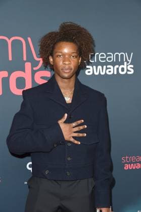 2023 Streamy Awards d4vd attends the 2023 Streamy Awards at Fairmont Century Plaza on August 27, 2023 in Los Angeles, California, Credit:Avalon United States, Ca, Century City  Copyright: xAvalonx PCN_OBIT_d4vd_David_Anthony_Burke_800690591