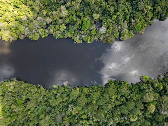 Beautiful aerial view to flooded forest and river in Mamirauá Tefé, State of Amazonas, Brazil CR_GNUJ250908-1828619-01