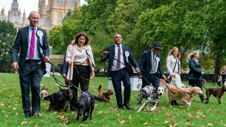 Westminster Dog of the Year 2025, run by The Kennel Club and Dogs Trust for dog-loving MPs and their canine companions at the Victoria Tower Gardens in London, UK, on 11th September 2025. Andrew Snowden MP, Michelle Scrogham MP, David Burton-Sampson MP, Steve Darling MP, Sarah Edwards MP, Becky Gittins MP competing at the Westminster Dog of the Year 2025, run by The Kennel Club and Dogs Trust for dog-loving MPs and their canine companions at the Victoria Tower Gardens in London, UK, on 11th September 2025., Credit:Oleksii Ovcharenko Avalon United Kingdom, London  Copyright: xOleksiixOvcharenkox xAvalonx 1036102495