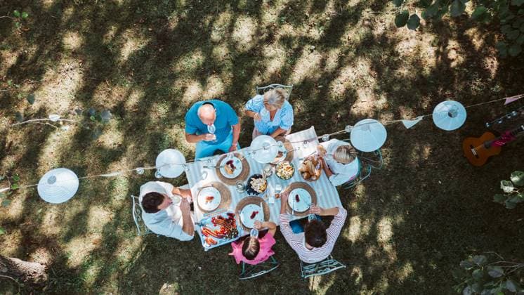 Top view of grandparents, parents and kids during grill party. Top view of grandparents, parents and kids during grill party. Family dining outdoors. model released