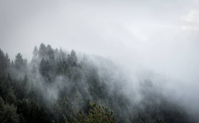 Nebelschwaden in den Wäldern in der Nähe von Brixen in Südtirol *** Wafts of mist in the Forests in the Proximity from Brixen in South Tyrol 1047101496