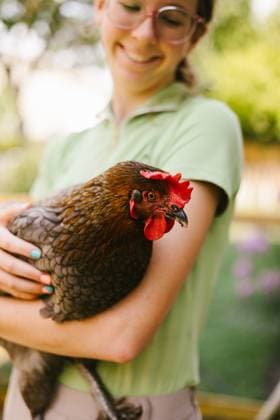 Creative Highlight Symbolbilder Close up of hen that young teen girl is holding and smiling Gurnee, Illinois, United States CR_WVNP250918-1831503-01 ,model released, Symbolfoto