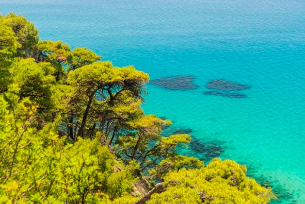 Creative Highlights World Turquoise sea and pine trees in Kanallaki coast in Greece Lefkada, Greece CR_AHTA250921A-1807835-01