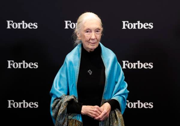 Dr. Jane Goodall, UN Messenger of Peace and Founder of The Jane Goodall Institute, arrives to speak at the 2025 Forbes Sustainability Leaders Summit at Forbes on Fifth in New York City on Monday, September 22, 2025.  NYP20250922302 JOHNxANGELILLO