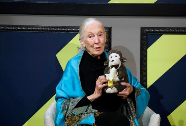 Dr. Jane Goodall, UN Messenger of Peace and Founder of.The Jane Goodall Institute, holds her traveling companion named Mr H as she speaks with Forbes Senior Editor Maggie McGrath at the 2025 Forbes Sustainability Leaders Summit at Forbes on Fifth in New York City on Monday, September 22, 2025.  NYP20250922308 JOHNxANGELILLO