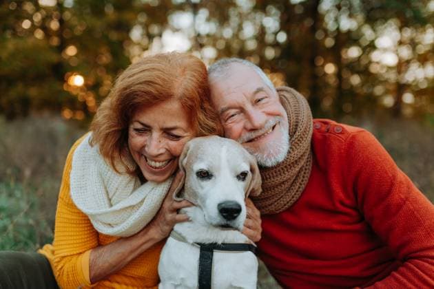 Elderly man and woman walking their dog in nature on autumn day. Elderly man and woman walking their dog in nature on autumn day. Portrait. model released
