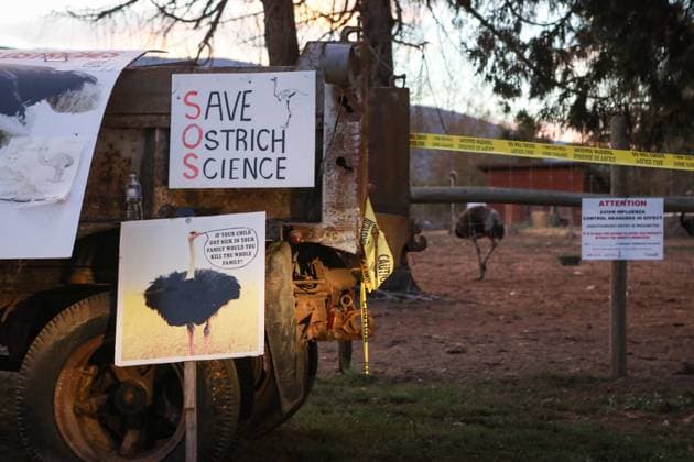 September 22, 2025, Edgewood, Bc, CANADA: Police tape lines the perimeter of the Universal Ostrich Farms in Edgewood, B.C., on Monday, Sept. 22, 2025, as the Canadian Food Agency prepares to cull 400 of the farmöÄÃ s ostriches this week. Edgewood CANADA  - ZUMAc35_ 20250922_zaf_c35_120 Copyright: xAaronxHemensx