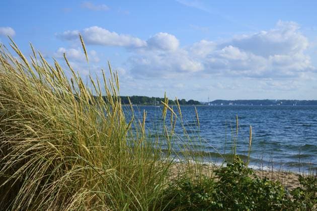 Stranddünen überblicken das Meer unter einem teils bewölkten Himmel, Heikendorf, Kreis Plön, Kieler Förde, Schleswig-Holstein, Deutschland Beach dunes overlooking the sea under a partly cloudy sky, Heikendorf, Plön district, Kiel Fjord, Schleswig-Holstein, Germany Copyright: imageBROKER RaimundxLinke ibxrde15149797.jpg