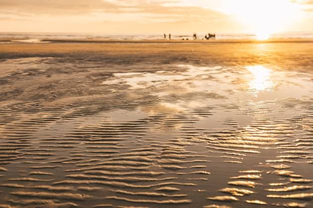 Sunset on the sandy tidal flats of island Romo, MCHF00615