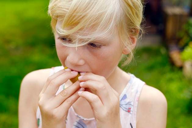 IMAGO Creative, Jahreszeit Sommer, Food, Pflaume Child with blond hair eating plum outdoors during autumn harvest model released, Symbolfoto, Hamburg Hamburg Deutschland Altes Land GISF01234