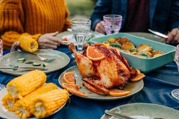 Thanksgiving day family outdoor meal with roast chicken and vegetables model released, Symbolfoto, VSNF04170