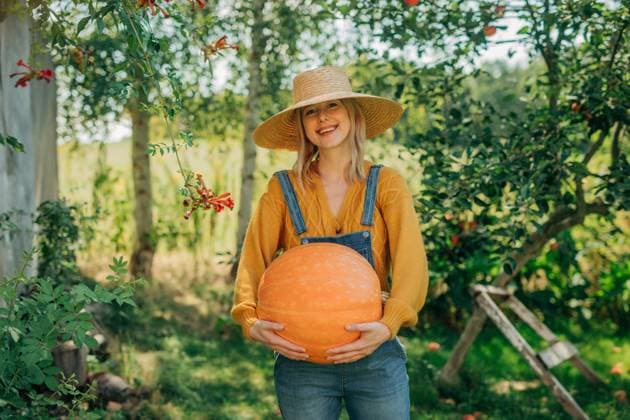 Person in straw hat holding pumpkin in vegetable garden during autumn harvest model released, Symbolfoto, VSNF04212