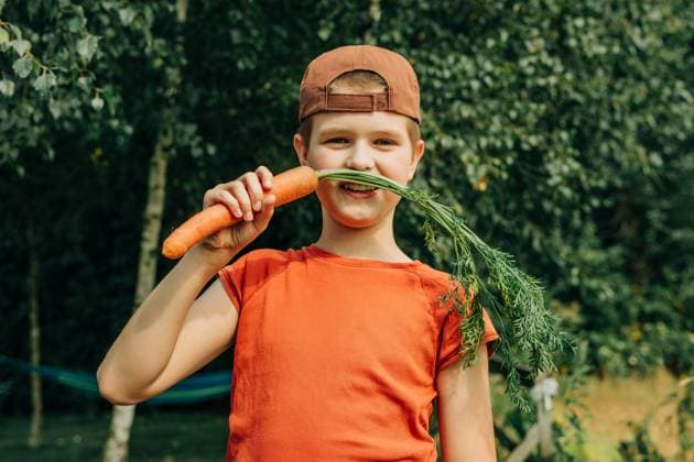 Smiling boy holding fresh carrot outdoors in autumn garden model released, Symbolfoto, VSNF04233
