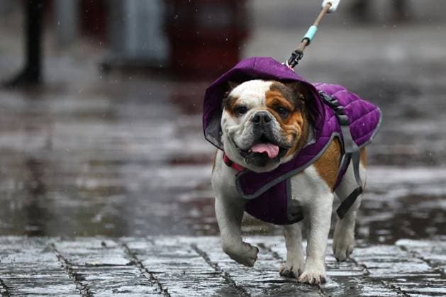 Entertainment Bilder des Tages Santiago, September 26, 2025 Spring rainfall in the Metropolitan Region Jonnathan Oyarzun Aton Chile, Santiago Chile Aton 1045442  Copyright: JONNATHANxOYARZUN ATONxCHILE