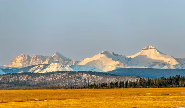 Snow-covered mountain range with yellow foreground under a clear blue sky. Alberta, Canada inmi08069 Copyright: xConnectxImagesx