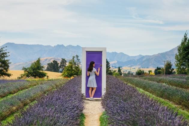 Creative Highlight Symbolbilder MR_ID30876_22278_JulietteGirard.jpg, MR_ID30876_22277_CamilleGirard.jpg A woman stands by a purple door in a vibrant lavender field in New Zealand. The scenic landscape is framed by distant mountains and lush greenery under a clear blue sky Model Released CamilleGirard_ID30876_1046540_017 Copyright: xCamillexGirardx