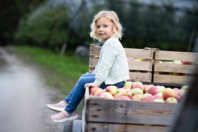 MR_ID27848_22282_MaggieHannaleck.jpg, MR_ID27848_22281_MariaHannaleck.jpg, MR_ID27848_22284_BenjaminBeppiHannaleck.jpg, MR_ID27848_22283_EmmaHannaleck.jpg A young girl with curly hair sits on the edge of a crate filled with apples in an orchard. She wears a cozy sweater and jeans, enjoying a peaceful day in the countryside Model Released NinaJaneckova_ID27848_799696_081 Copyright: xNinaxJaneckovax RECORD DATE NOT STATED