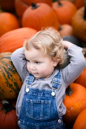 MR_ID27848_22282_MaggieHannaleck.jpg, MR_ID27848_22281_MariaHannaleck.jpg, MR_ID27848_22284_BenjaminBeppiHannaleck.jpg, MR_ID27848_22283_EmmaHannaleck.jpg A young child with curly blond hair relaxes amongst a pile of orange pumpkins. They are wearing a gray long-sleeve shirt and blue denim overalls, embodying autumn s charm Model Released NinaJaneckova_ID27848_799736_089 Copyright: xNinaxJaneckovax RECORD DATE NOT STATED