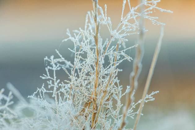 250929Frostnacht News ID: EN 2025-09-29 Kalter Start in die neue Woche für die Menschen in Sachsen örtlicher Luftfrost im Erzgebirge Marienberg-Kühnhaide. Wer am Montagmorgen vor die Tür ging, wurde sicherlich kalt erwischt. Bei klarem Himmel sanken die Temperaturen in Sachsen am frühen Montagmorgen in den einstelligen Bereich. So wurden an der Wetterstation Dresden- Gunther Emmerlich am Morgen gerade einmal 4,3 Grad Lufttemperatur gemessen. Frostig hingegen war es allerdings im Erzgebirge. Hier wurden Temperaturen von knapp über 0 Grad gemessen. In Marienberg-Kühnhaide sank das Thermometer auf bis zu minus 4 Grad Lufttemperatur. Am Boden war die Temperatur sogar noch kälter. Hier wurden bis zu minus 7 Grad gemessen