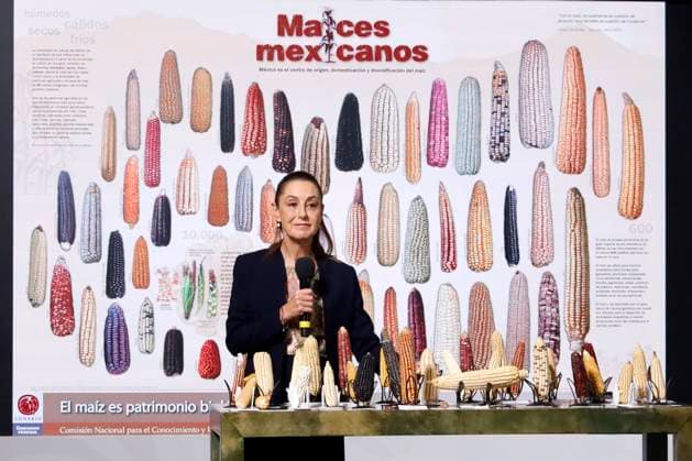 Mexican President Claudia Sheinbaum Pardo speaks during a news conference about the National Corn Day, highlighting its importance to the economy and nutrition of Mexicans, at the National Palace on September 29, 2025, in Mexico City, Mexico. Mexico City Mexico - ZUMAe321 20250929_zia_e321_005 Copyright: xLuisxBarronx