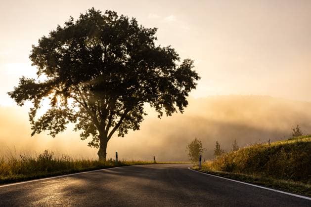 Sonnenaufgang mit Nebel vom 28.09.2025 bei Eslohe morgendliche Nebelstimmung im Sauerland *** Sunrise with fog from 28 09 2025 near Eslohe morning foggy mood in the Sauerland Copyright: xx xChantalxAndersx