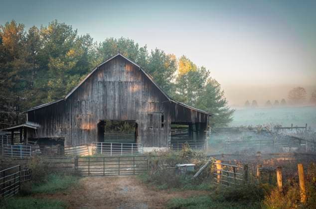 Ethereal Dawn: Weathered Barn Amidst Foggy Fields of Rural Kentu Williamsburg, Kentucky, United States CR_CIRZ250930-1842087-01 EDITORIAL USE ONLY