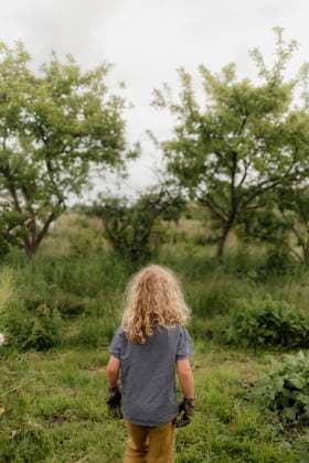 Child walking through a lush meadow under cloudy skies Amsterdam, North Holland, Netherlands CR_RTBZ25093036-1843308-01 ,model released, Symbolfoto