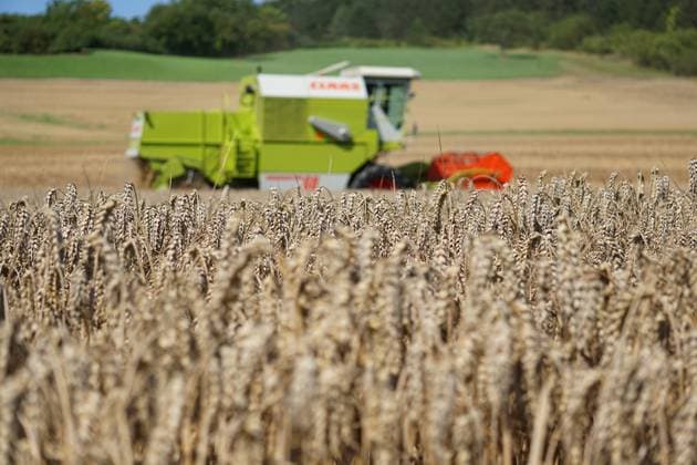 Auf einem Feld in Dassel im Landkreis Northeim im Bundesland Niedersachsen, faehrt ein Claas Maehdrescher in der Getreideernte. Landwirte in der Getreideernte im Landkreis Northeim Einbeck *** In a field in Dassel in the district of Northeim in the federal state of Lower Saxony, a Claas combine harvester drives farmers harvesting grain in the district of Northeim Einbeck