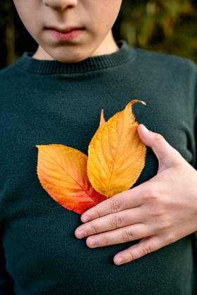 Child holding yellow and orange autumn leaves against their sweater Corby, England, United Kingdom R_JNDO251005D-1844872-01 ,model released, Symbolfoto