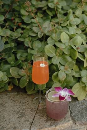 IMAGO Creative, Lifestyle, Feste im Garten #2 Colorful cocktails garnished with flowers and lime San Diego, California, United States R_QCYJ251004-1809593-01