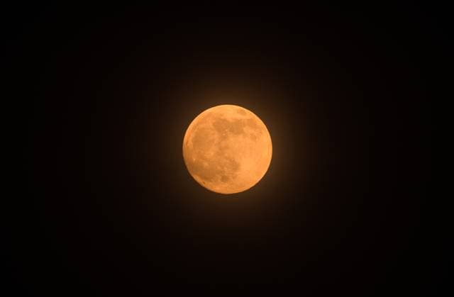The First Supermoon Of The Year - October™s Full Harvest Moon The full moon in October, known as the Hunter s Moon -- also this year s Harvest Moon and the first supermoon of the year -- is seen through the branches and leaves of trees in a forest at Tehatta, West Bengal, India, on October 6, 2025. The Harvest Moon is the full moon closest to the autumnal equinox. Historically, its bright light helped farmers complete their harvests, according to the Old Farmer s Almanac. Tehatta India  Copyright: xSoumyabrataxRoyx originalFilename: roy-notitle251006_npgWx.jpg