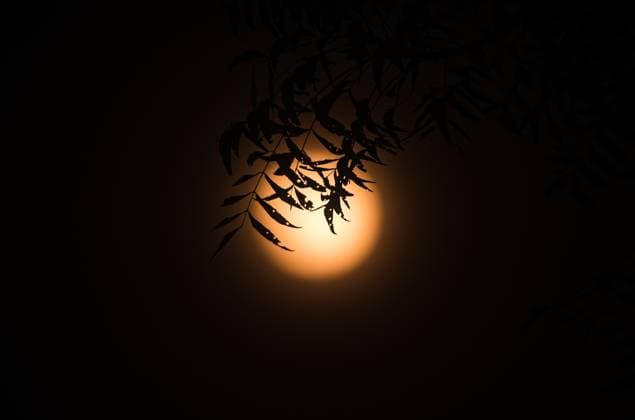 The First Supermoon Of The Year - October™s Full Harvest Moon The full moon in October, known as the Hunter s Moon -- also this year s Harvest Moon and the first supermoon of the year -- is seen through the branches and leaves of trees in a forest at Tehatta, West Bengal, India, on October 6, 2025. The Harvest Moon is the full moon closest to the autumnal equinox. Historically, its bright light helped farmers complete their harvests, according to the Old Farmer s Almanac. Tehatta India  Copyright: xSoumyabrataxRoyx originalFilename: roy-notitle251006_npIzH.jpg