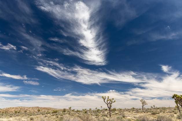 Kalendermotive: Joshua Tree National Park Joshua Tree National Park A breathtaking photo of Joshua Tree National Park, showcasing the unique landscape and beauty of the Mojave Desert (License=RF) Copyright: xZoonar.com EvgenyxKarandaevx 24002695