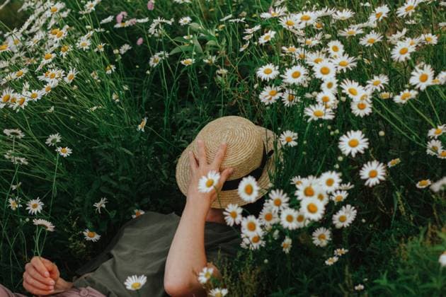 Blumen auf dem Kamillenfeld. Schöne Wiese. Sommerlicher Hintergrund a girl in chamomile wildflowers. Summer flowers in the meadow. (License=RF) ,model released, Symbolfoto Copyright: xZoonar.com ElenaxEsichx 24033677 ,model released, Symbolfoto ,property released