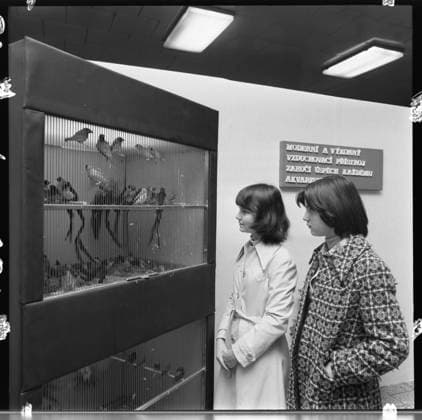 ***OCTOBER 13, 1977 FILE PHOTO***Exhibition of foreign birds EXOTA 77 in Olomouc, Czechoslovakia, October 13, 1977. In addition to the Czechoslovak exhibitors, this top show is attended by breeders of exotic birds and aquarium fish from the Polish PeopleÂ s Republic, GDR, MLR, USSR, Austria and Germany. Over 3,000 birds from all continents are concentrated in five pavilions and the palm greenhouse of the Flora exhibition ground. (CTKxPhoto VladislavxGalgonek) CTKPhotoF202307290031901  CTKPhotoF202307290031901