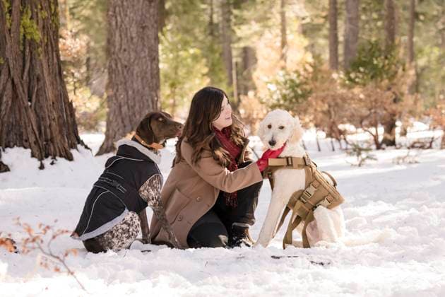 IMAGO Creative, Winter, Auf dem Land Woman kneels in the Tahoe snow, petting two dogs in winter jackets South Lake Tahoe, California, United States R_HOOX251009C7-1860404-01 ,model released, Symbolfoto ,property released