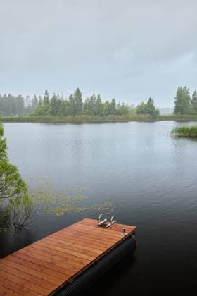 IMAGO Creative, Jahreszeit Sommer, Regen, Sommerregen Calm lake scene with wooden dock and swans during rainy weather Saint Petersburg, Saint Petersburg, Russia R_KNCD251008-1849887-01