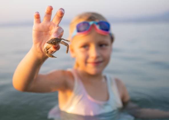 Mädchen mit blauer Schwimmbrille, das eine kleine Krabbe beim Waten im kristallblauen Wasser des Ozeans festhält Mädchen mit blauer Schwimmbrille, das eine kleine Krabbe beim Waten im kristallblauen Wasser des Ozeans festhält (License=RF) ,model released, Symbolfoto Copyright: xZoonar.com DanilxRoudenkox 23952962 ,model released, Symbolfoto ,property released