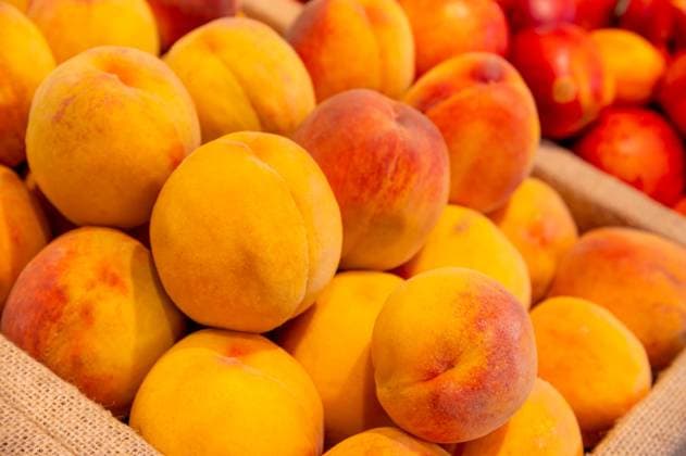 Leuchtend bunte Nektarinen auf dem Markt. Ein vertikales Foto der saftigen, frischen Frucht Brightly colored nectarines at the market. A vertical photo of the juicy, fresh fruit. (License=RF) Copyright: xZoonar.com IanxIankovskiix 24063570