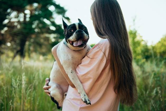 Teenager-Mädchen hält den geliebten Hund ihres Haustiers in den Armen und dreht ihm im Park den Rücken zu. Teenager-Mädchen hält den geliebten Hund ihres Haustiers in den Armen und dreht ihm im Park den Rücken zu. (License=RF) ,model released, Symbolfoto Copyright: xZoonar.com IrinaxPavlovax 24066307 ,model released, Symbolfoto ,property released