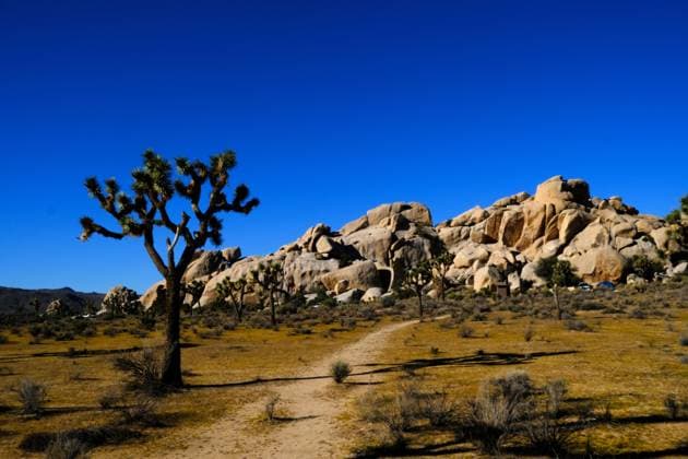 Kalendermotive: Joshua Tree National Park October 18, 2025, Joshua Tree, California, USA: Joshua Tree National Park during the United States federal government shutdown. Rangers are present in the park but are not charging visitors an entry fee. Two distinct desert ecosystems, the Mojave and the Colorado, come together in the Southern California Park.Climbers enjoy rock formations surrounded by a desert landscape filled with Joshua trees. Joshua Tree USA - ZUMAr19_ 20251018_zap_r19_112 Copyright: xRuaridhxStewartx