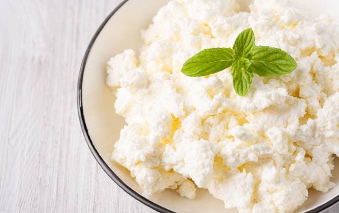 Cottage cheese in a plate on a white table, with copy space for text Cottage cheese in a plate on a white table, with copy space for text., 59450958.jpg RECORD DATE NOT STATED