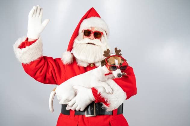Portrait of santa claus in sunglasses and dog jack russell terrier in rudolf reindeer ears on a white background. Portrait of santa claus in sunglasses and dog jack russell terrier in rudolf reindeer ears on a white background, model released, , 59959664.jpg RECORD DATE NOT STATED