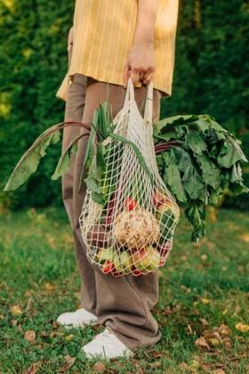Carrying fresh vegetables in a net bag outdoors after visiting market model released, Symbolfoto, VSNF04291