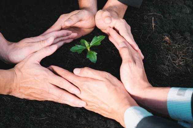 Group of businesspeople hand grow and nurture plant together. Gyre Top view group of businesspeople grow and nurture plant together on fertilized soil concept of eco company committed to CSR corporate social responsible principle, reducing CO2 emission. Gyre, model released, , 60553278.jpg RECORD DATE NOT STATED