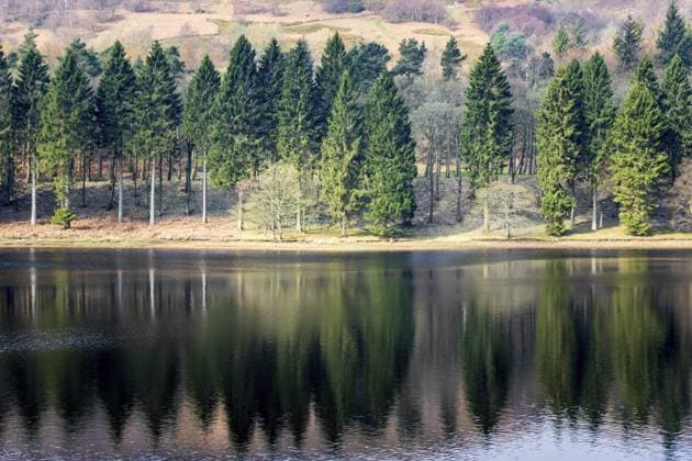 Spiegelung der Bäume auf einem See in Derbyshire, Großbritannien Trees reflection on a lake in derbyshire UK Copyright: imageBROKER christopherxsmith ibxiqx15286140.jpg